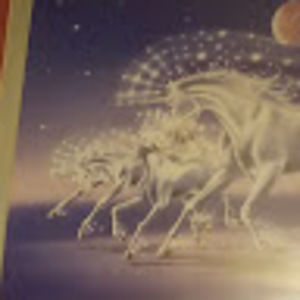 Meet your Posher, C&d